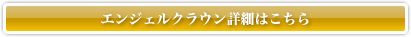 エンジェルクラウン詳細はこちら