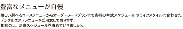 豊富なメニューが自慢 嬉しい選べるコースメニューからオーダーメードプランまで皆様の挙式スケジュールやライフスタイルに合わせたデンタルエステメニューをご用意しております。 相談の上、治療スケジュールを決めていきましょう。