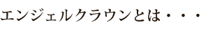 エンジェルクラウンとは・・・　