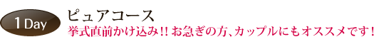 1Day ピュアコース 挙式直前かけ込み！！お急ぎの方、カップルにもオススメです！