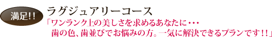 満足！！  ラグジュアリーコース 「ワンランク上の美しさを求めるあなたに・・・　歯の色、歯並びでお悩みの方。一気に解決できるプランです！！」