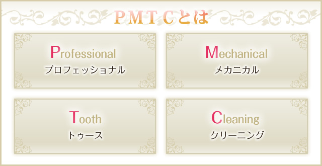 ＰＭＴＣとは　